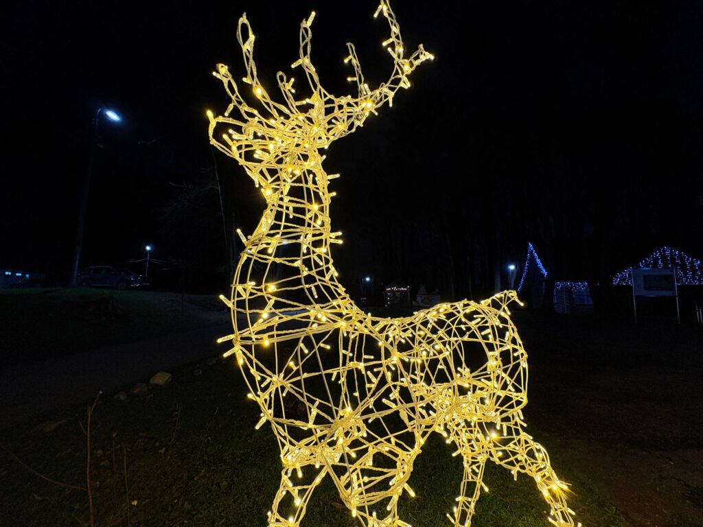 Зима пришла!